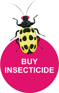 BUY INSECTICIDE
