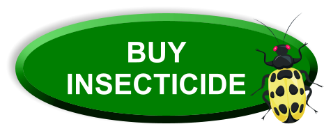 BUY INSECTICIDE